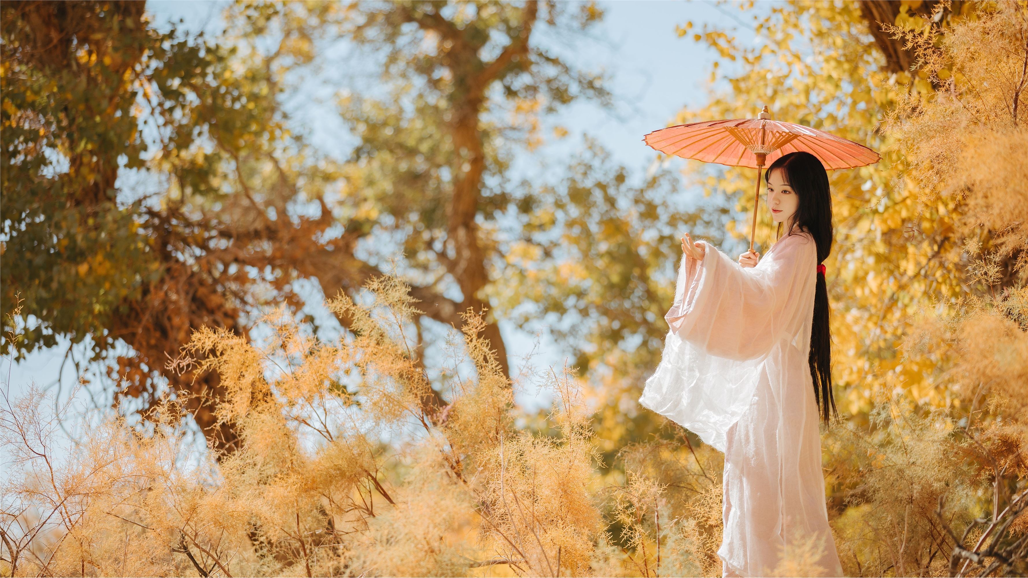 YITUYU艺图语 2021.08.16 蒹葭 薄荷